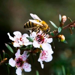 Meet your Posher, Madi